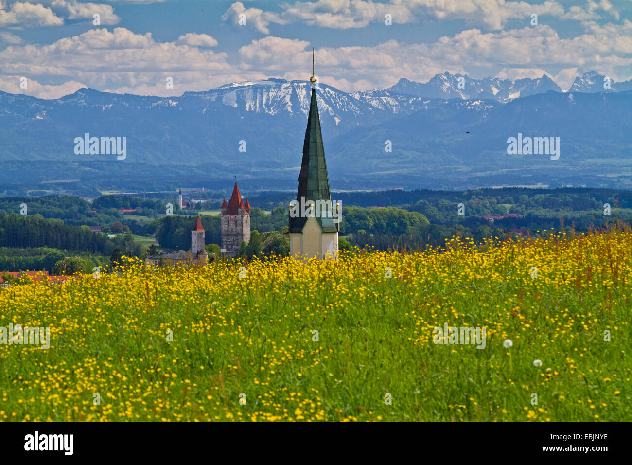 Alpine foothills, view over flower maedow, church and castle to the Alps, Germany, Bavaria, Haag Stock Photo
