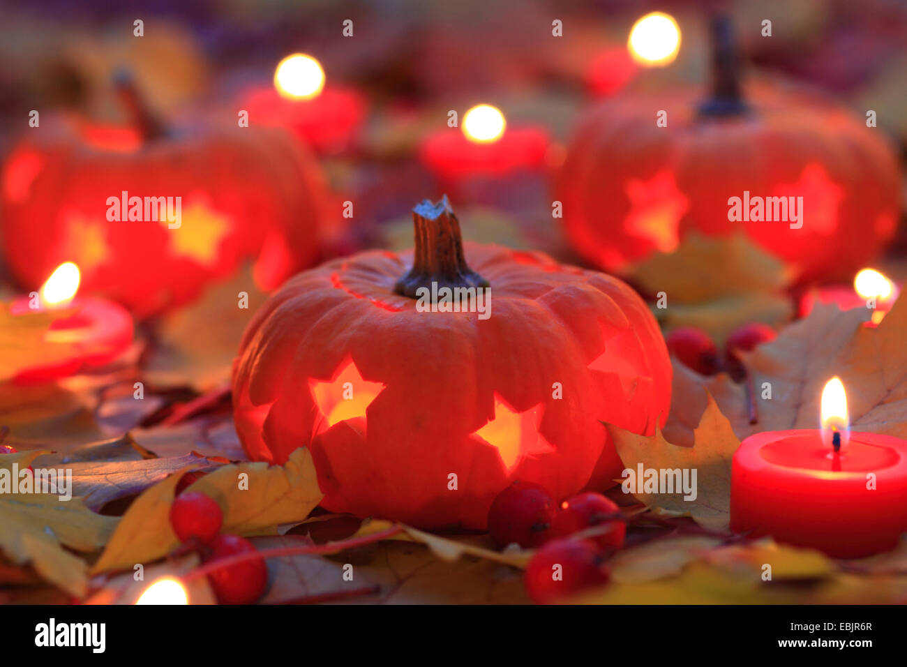 pumpkins, autumn leaves and burning candles for decoration Stock Photo