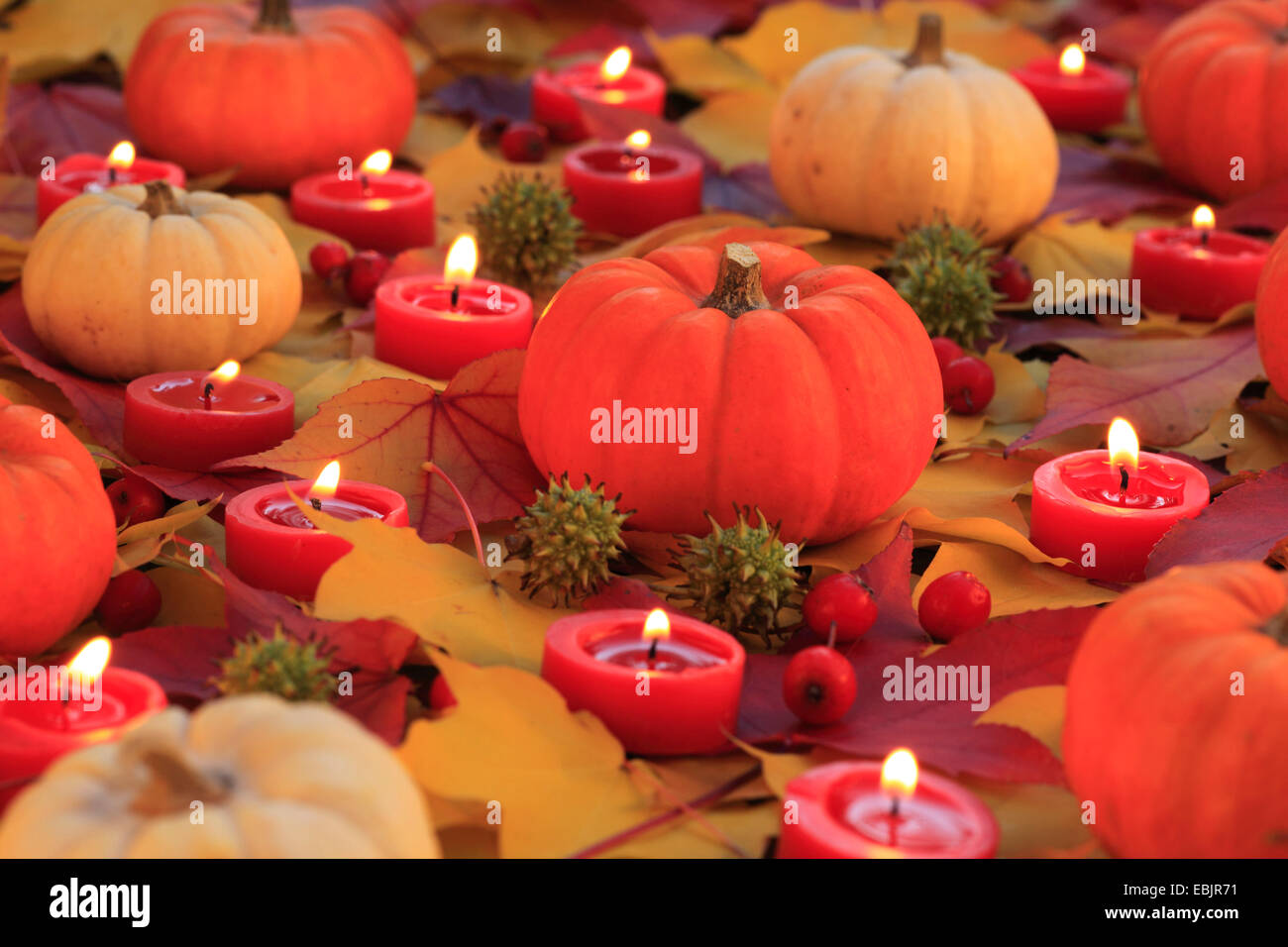 autumn decoration with pumpkins, autumn leaves and burning tea candles Stock Photo