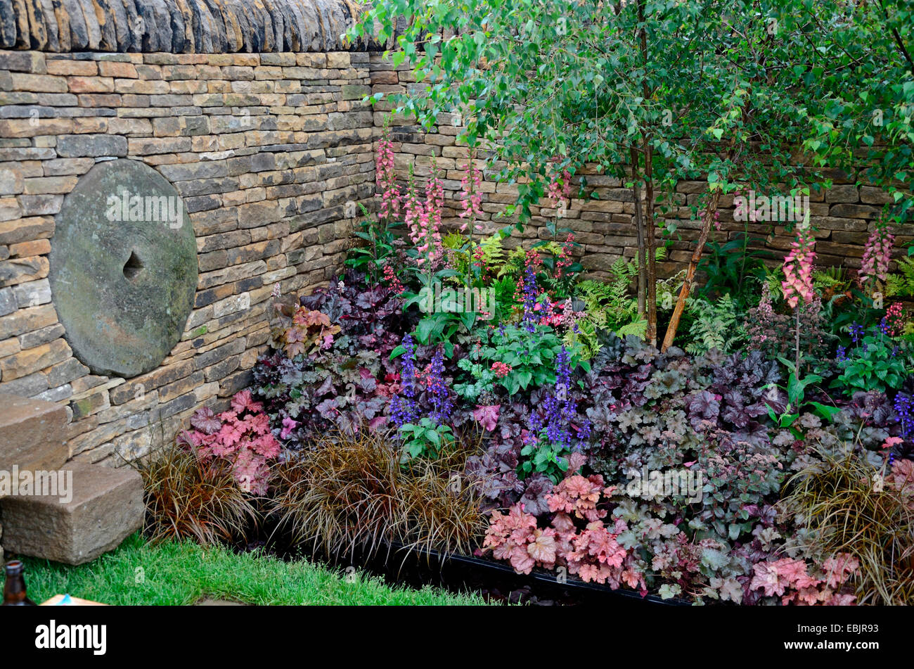 The planted border with mixed planting including Heuchera and Salvia in the Peak Reflections garden Stock Photo