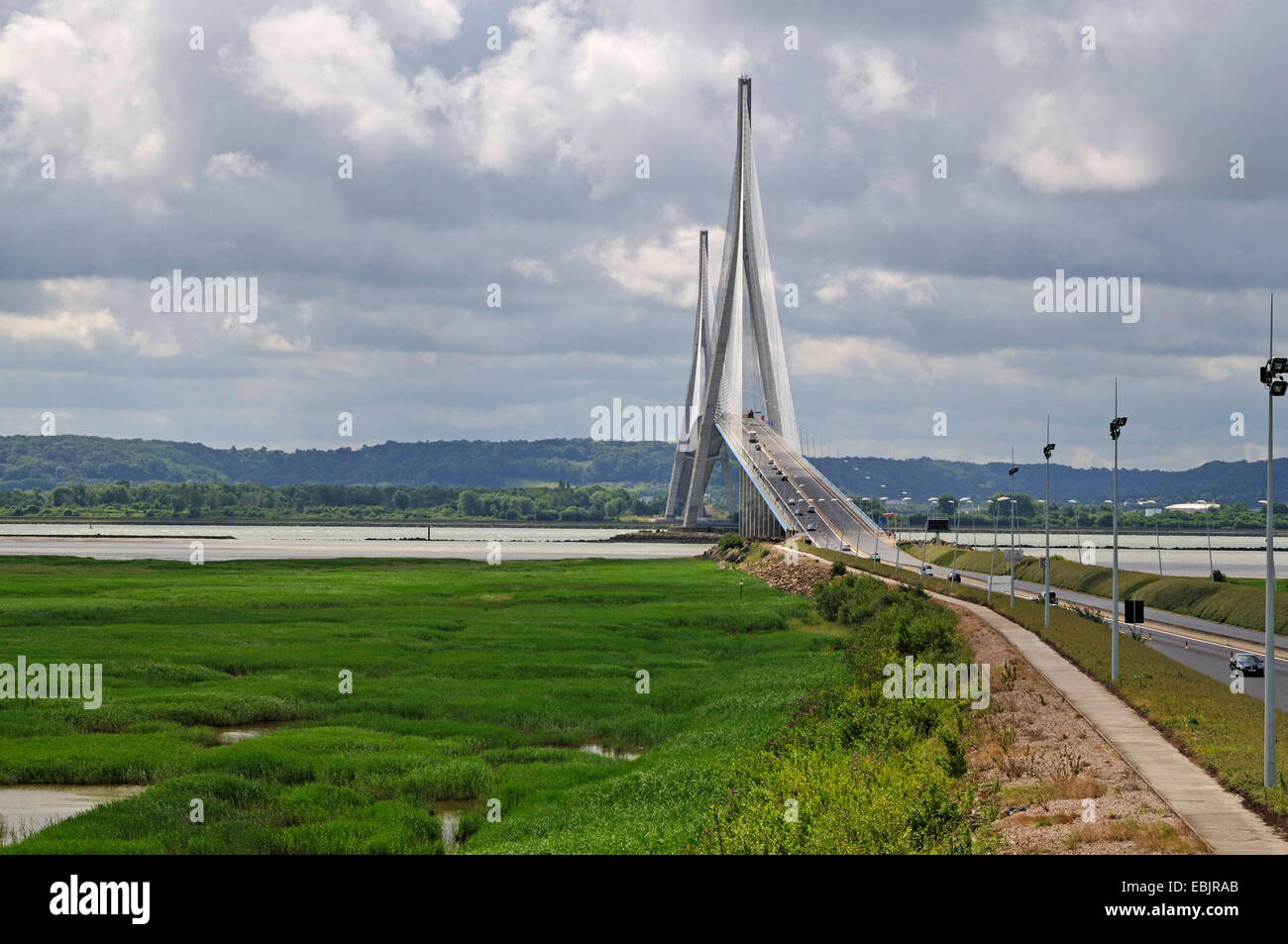 cable-stayed road bridge 'Pont de Normandie' spans the river Seine, France, Normandy, Le Havre Stock Photo