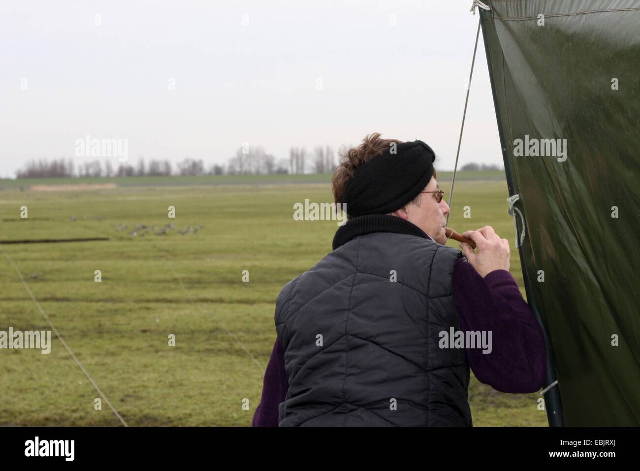 ornithologist with mating call for migrating wading birds, Netherlands, Frisia Stock Photo