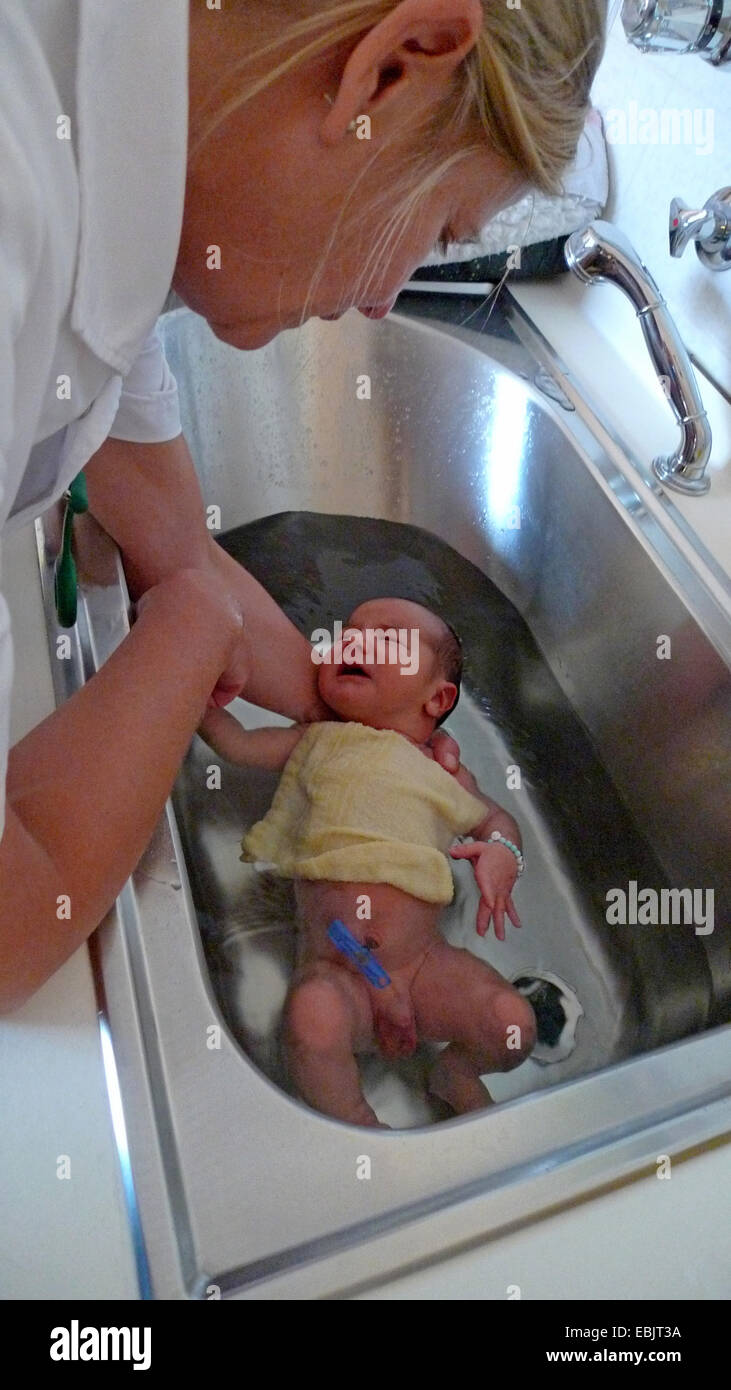 one day old baby is bathed by a nurse Stock Photo