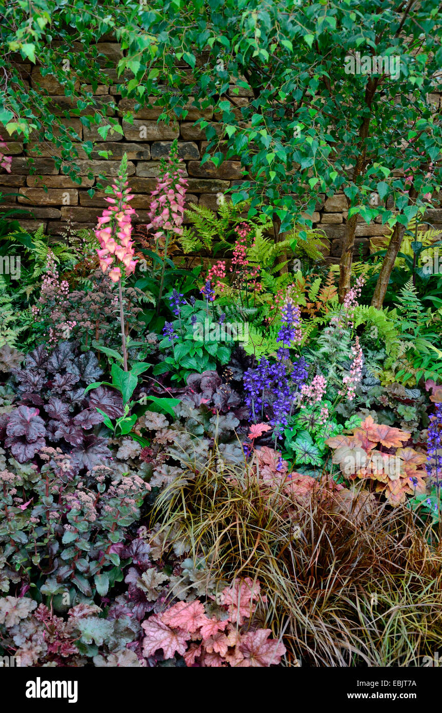 The planted border with mixed planting including Heuchera and Salvia in the Peak Reflections garden Stock Photo