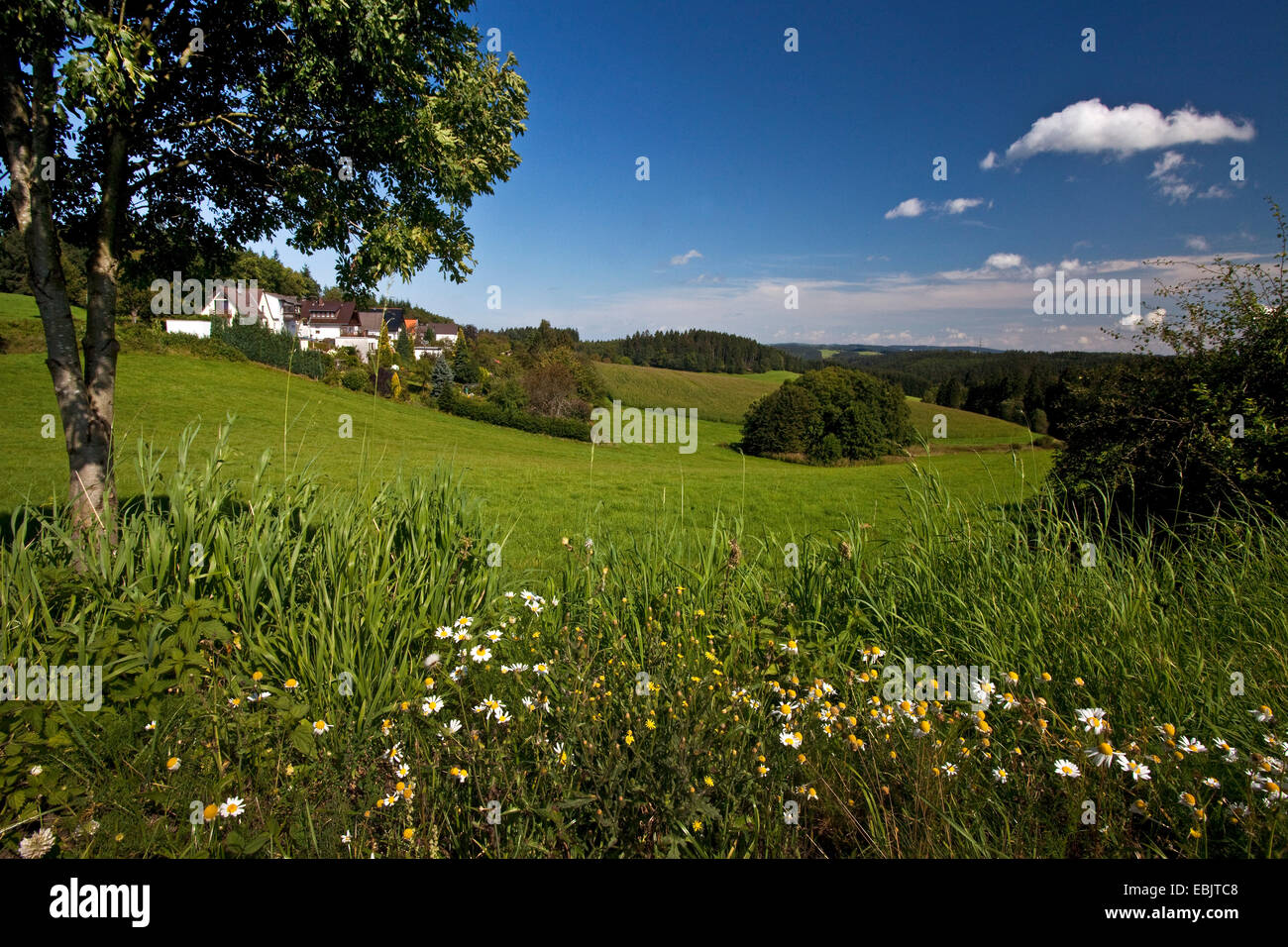 Halver High Resolution Stock Photography And Images Alamy