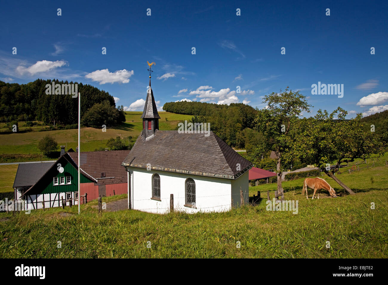 chapel and farmhouse in hill landscape with forest and meadows in the district Dumicke, Germany, North Rhine-Westphalia, Sauerland, Drolshagen Stock Photo
