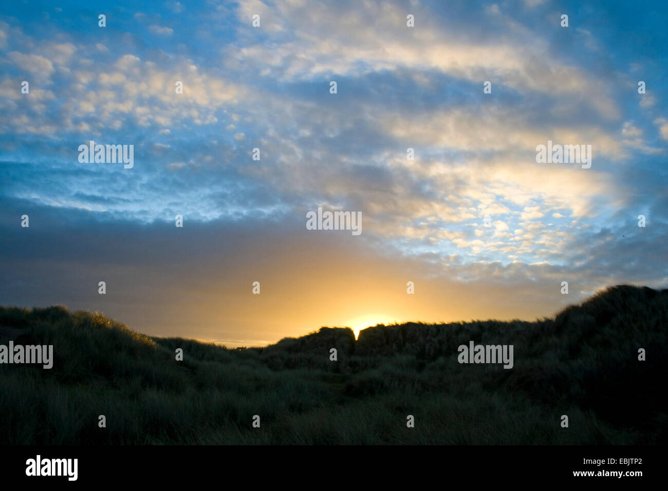 Sunrise over dunes at Seahouses Northumberland UK Stock Photo - Alamy