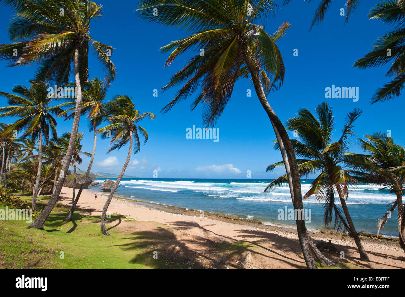 Bathsheba Beach, Barbados Stock Photo