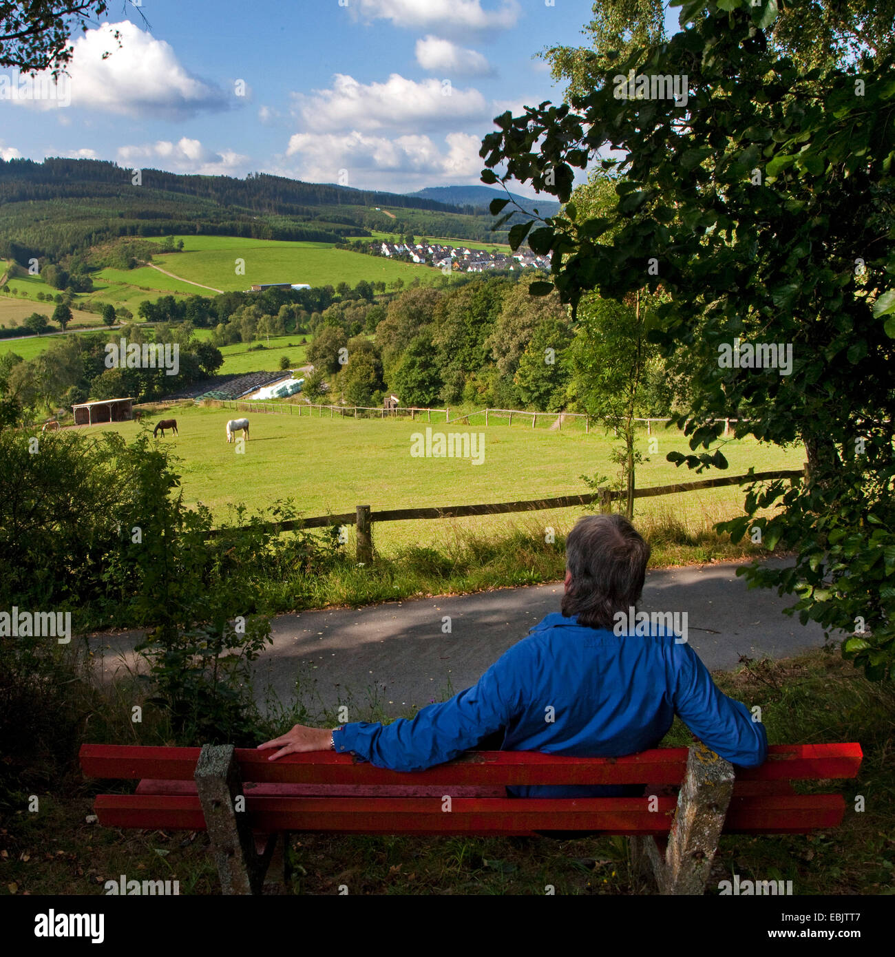 man sitting on a bench and enjoying the view to low mountain range, Germany, North Rhine-Westphalia, Sauerland, Schmallenberg Stock Photo