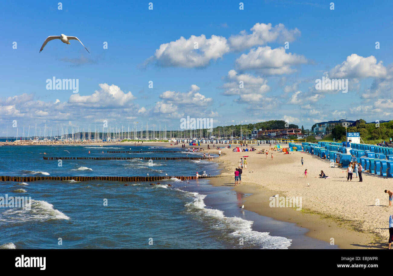 panoramic view over the bathing beach and the yacht harbour, Germany, Mecklenburg-Western Pomerania, Kuehlungsborn Stock Photo