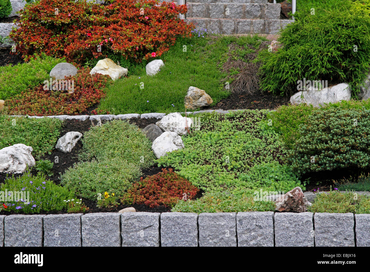 front garden with dwarf shrubs stone border, Germany, North Rhine-Westphalia, Ruhr Area, Essen Stock Photo