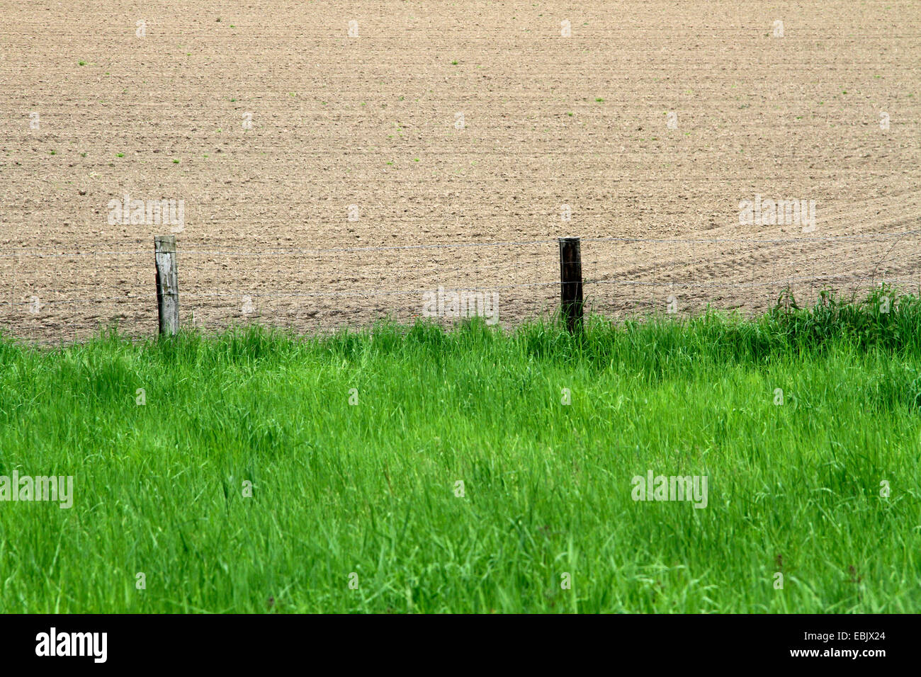 border between pasture and acre, Germany, North Rhine-Westphalia Stock ...