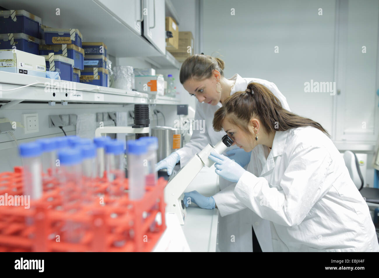 Biology lab technicians looking at test samples through microscope Stock Photo