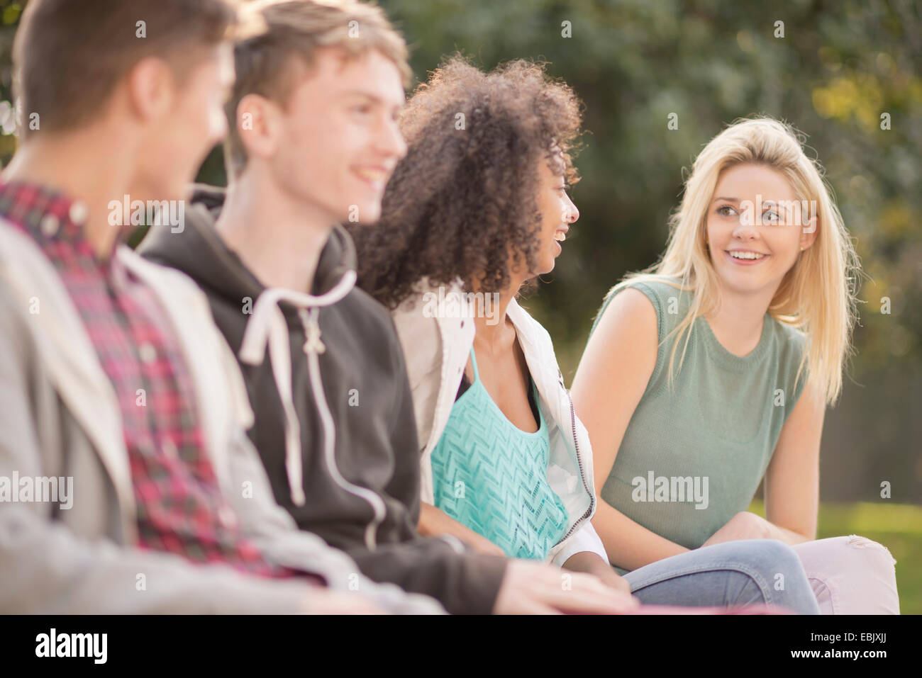 Four young adult friends talking in park Stock Photo