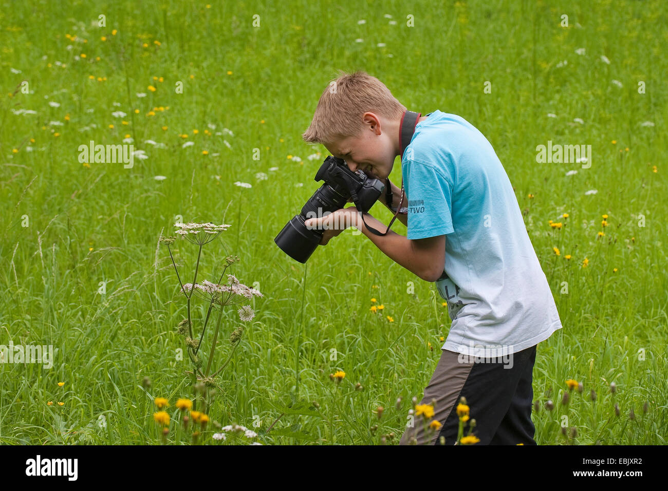 boy photographs in nature, Germany Stock Photo