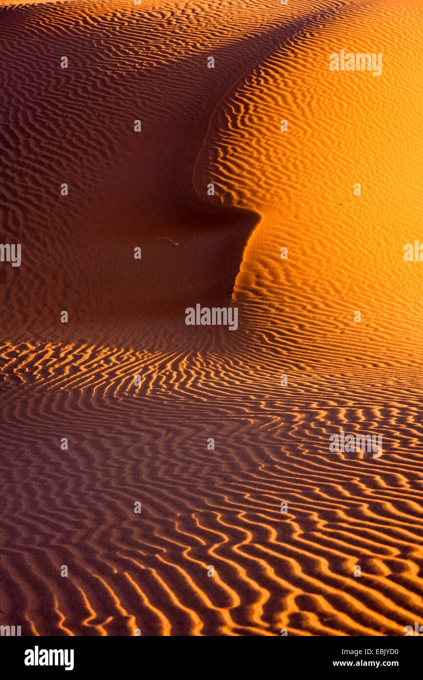 sand dune in Sahara, Morocco, Souss-Massa-DaraÔ, Erg Chigaga Stock Photo