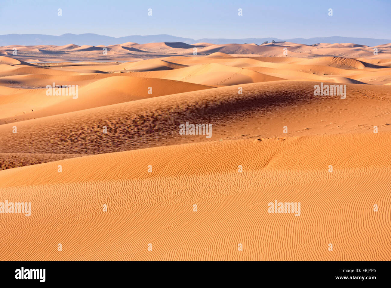 sand dunes in Sahara, Morocco, Souss-Massa-DaraÔ, Erg Chegaga Stock Photo