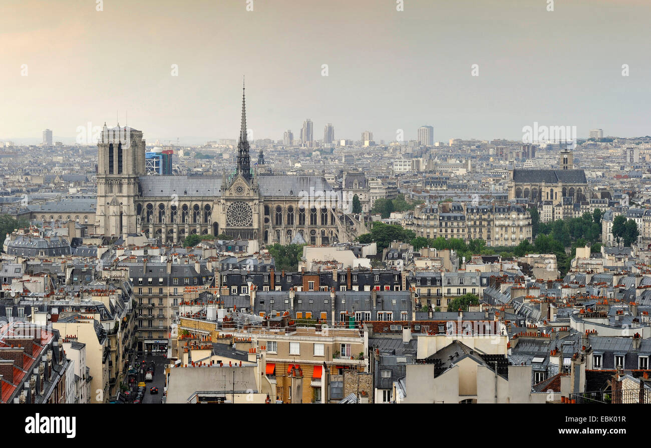 panoramic view over the rooftops at the southern facade of the cathedral Notre-Dame de Paris at the Ile de la CitÚ, France, Paris Stock Photo