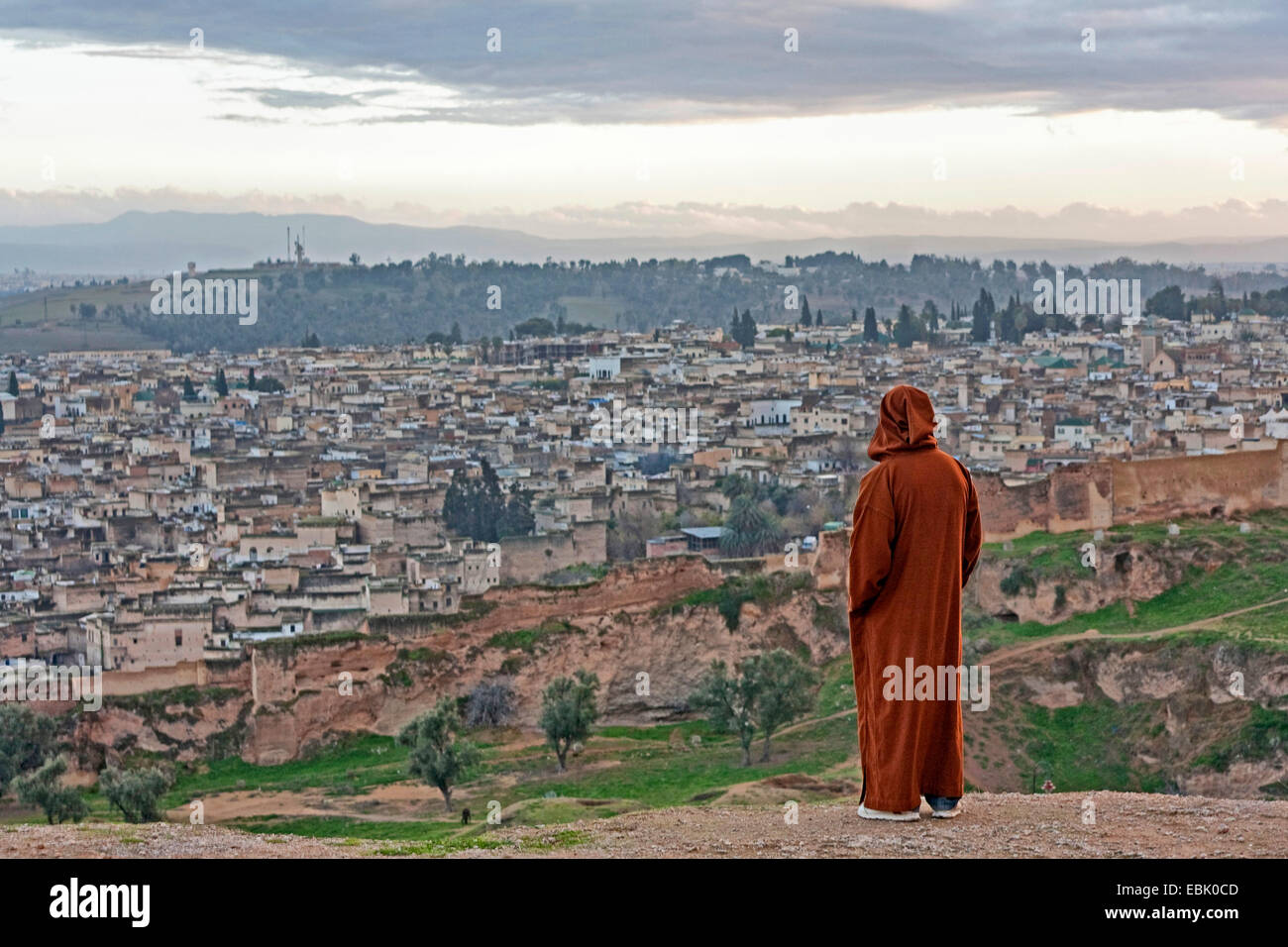 View from the fortress Borj Sud of the old city of FÚs, Morocco, Fes Stock Photo