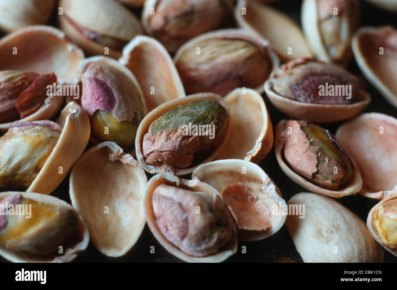 pistachio nut (Pistacia vera), mouldy pistachio nuts, damage by Aspergillus Stock Photo