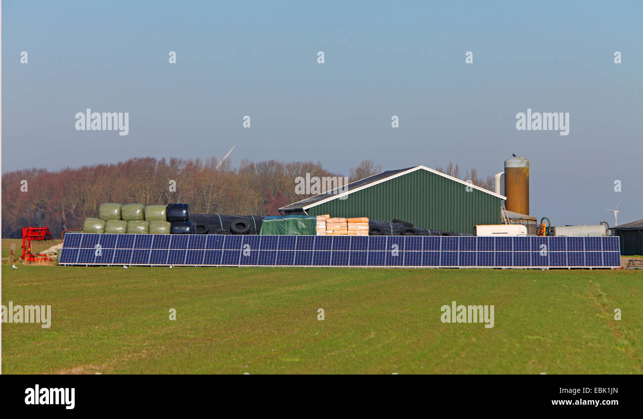 solar panels at barnyard, Netherlands, Frisia, gaast Stock Photo