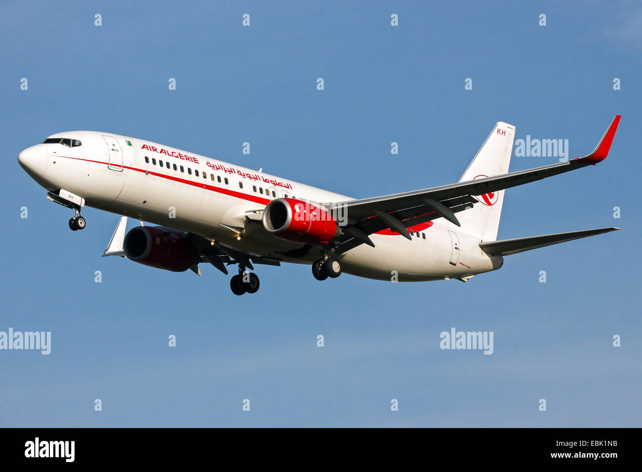 Air algerie boeing 737 800 approaches hires stock photography and images Alamy