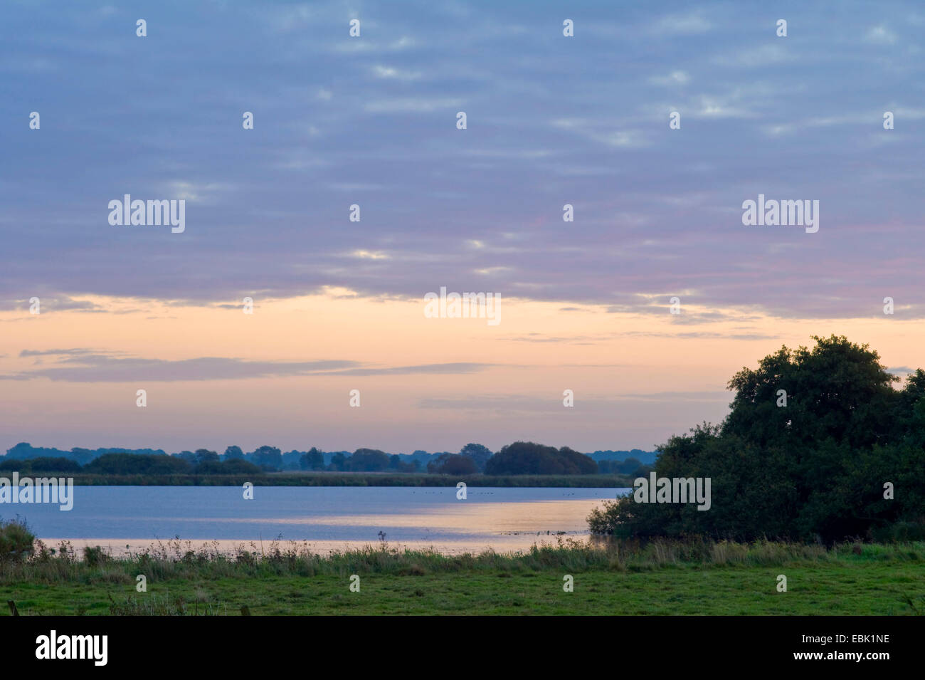 sunrise at the nature reserve Breites Wasser, Germany, Lower Saxony, Worpswede Stock Photo