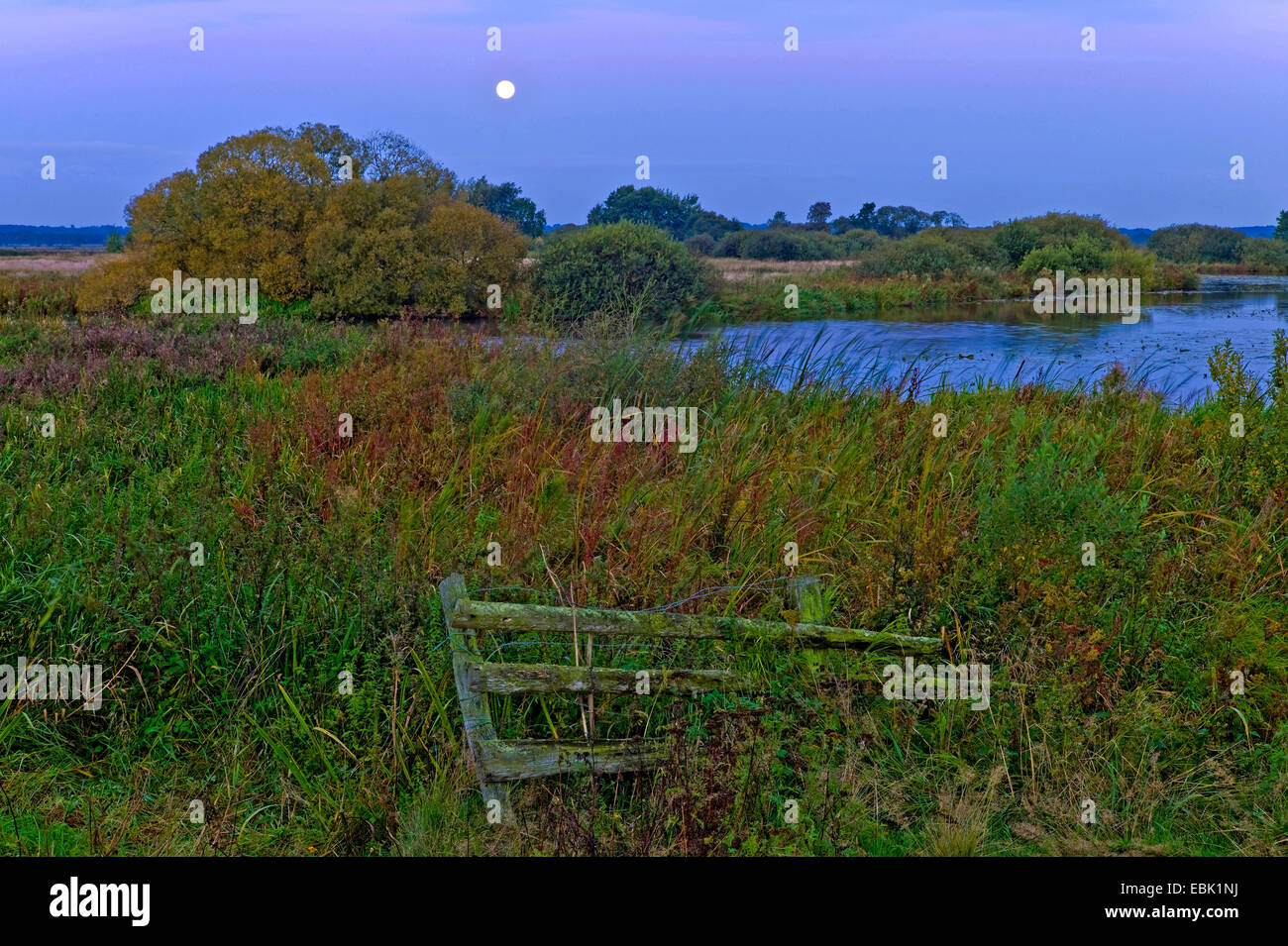 moonrise over the nature reserve Breites Wasser, Germany, Lower Saxony, Worpswede Stock Photo