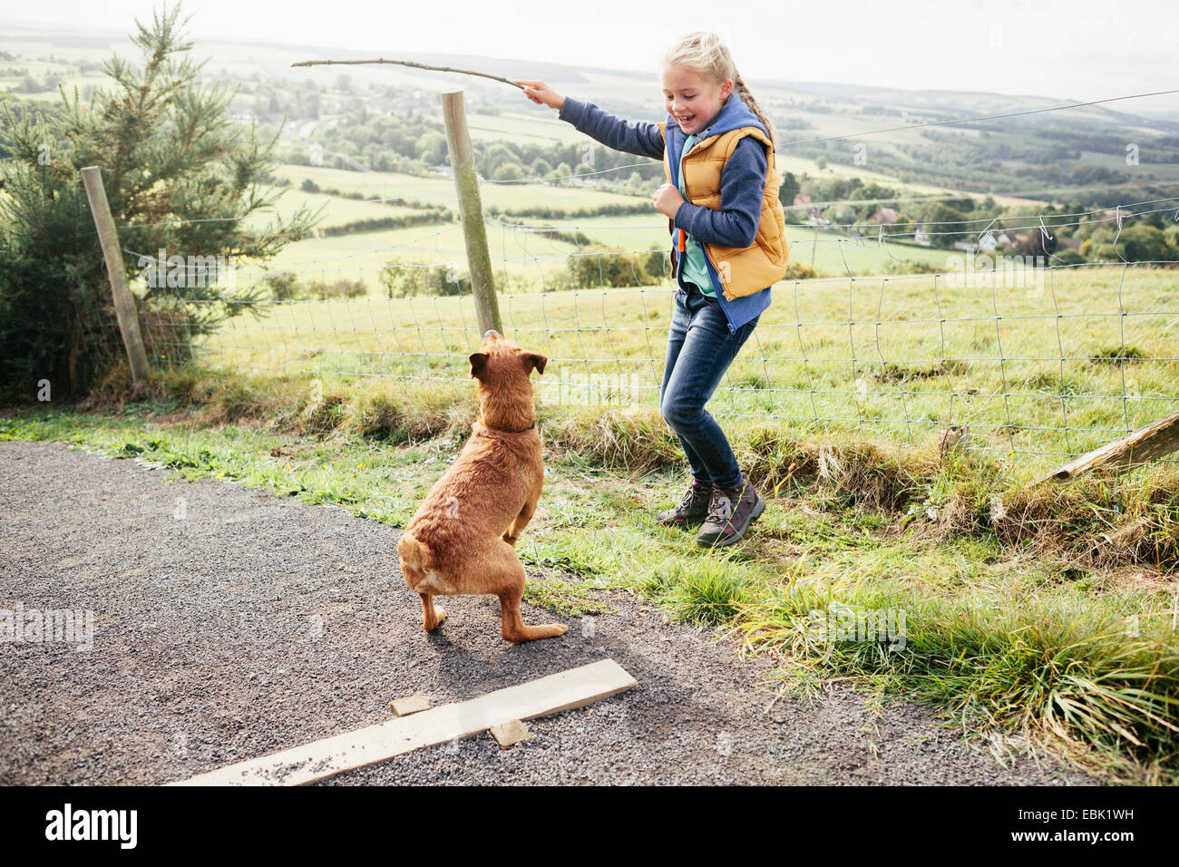 What Does Dog Walk Slang Mean