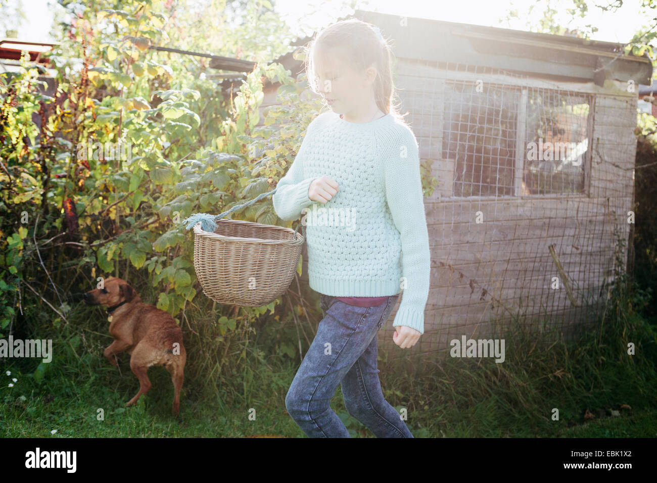 Girl holding basket in garden Stock Photo - Alamy