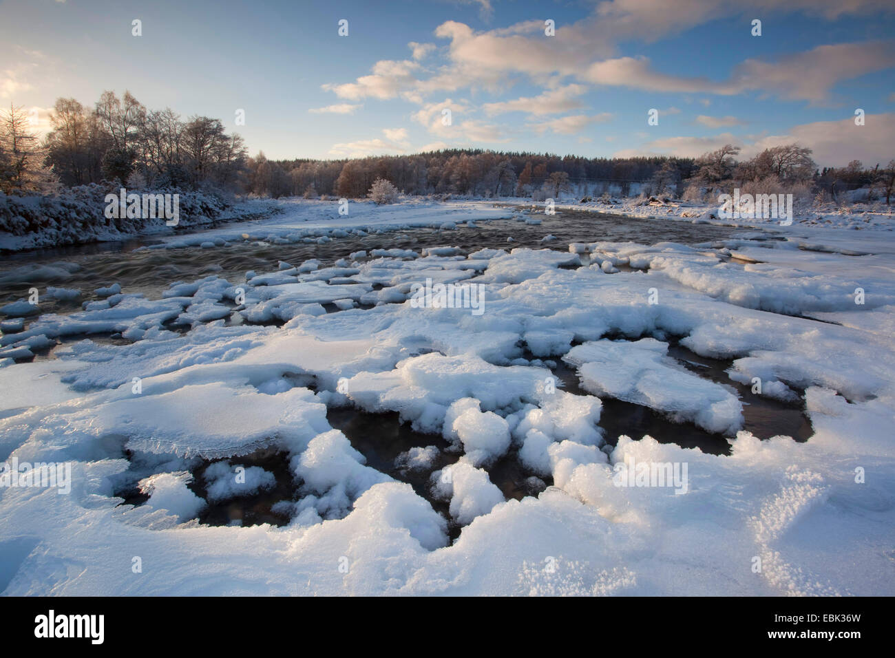 river Feshie in winter, United Kingdom, Scotland, Cairngorms National Park Stock Photo