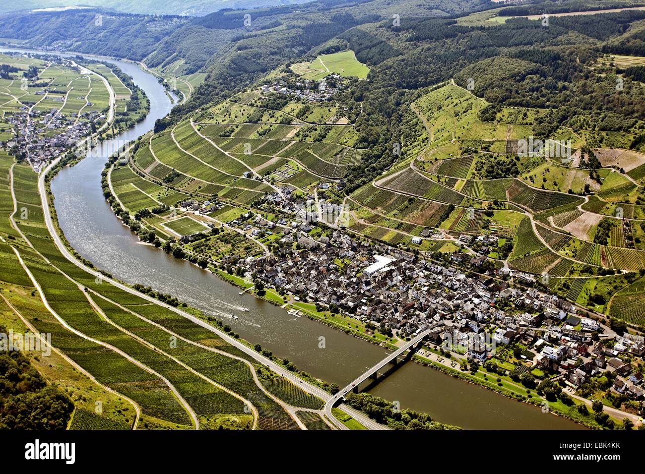aerial view to Moselle, Germany, Rhineland-Palatinate, moselta Stock Photo