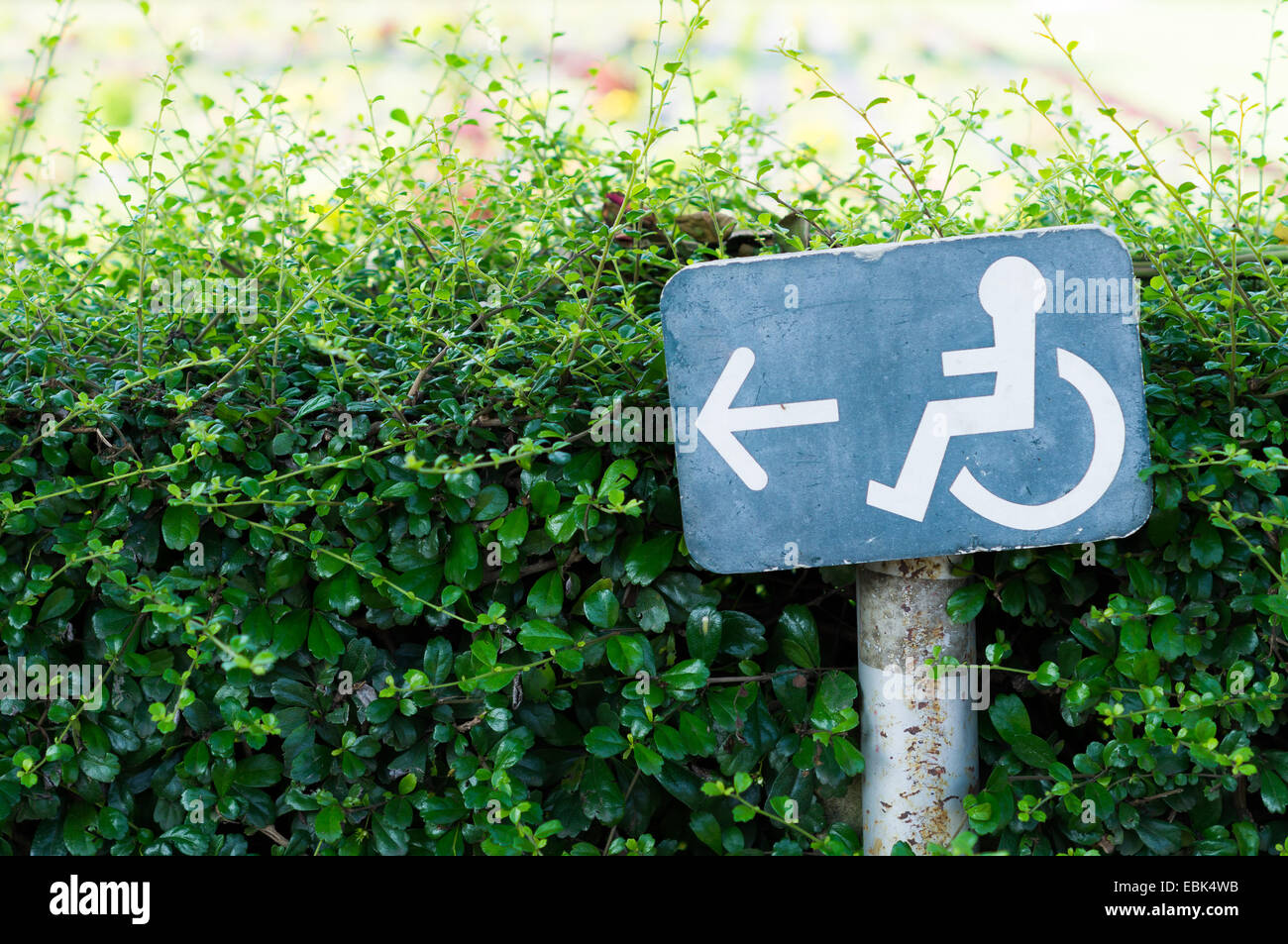 Accessible way sign for disabled people Stock Photo Alamy Accessible way sign for disabled people Stock Photo Alamy