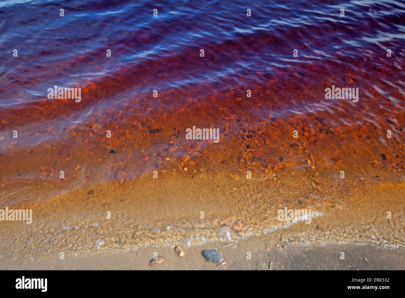 reddish water of a river, Russia, Kola, Varzuga River Stock Photo