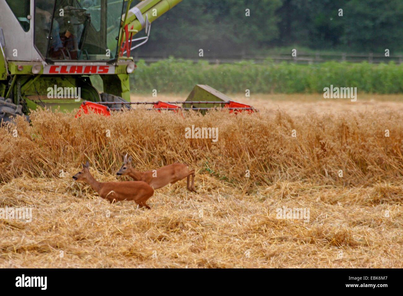 Combine Harverster High Resolution Stock Photography and Images - Alamy