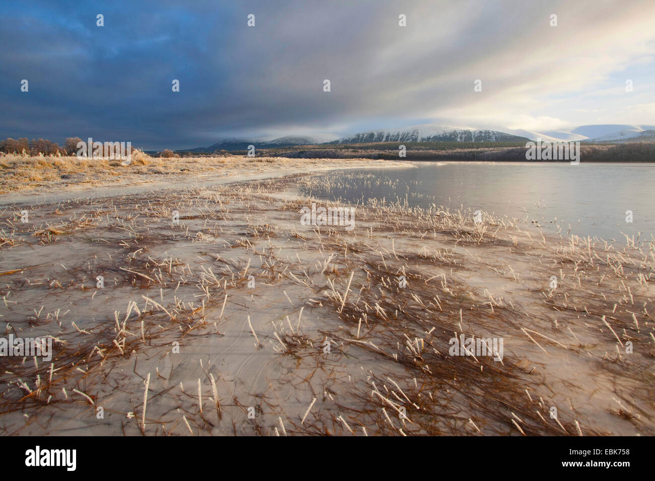 view over partially frozen Loch Insh, United Kingdom, Scotland, Cairngorms National Park Stock Photo