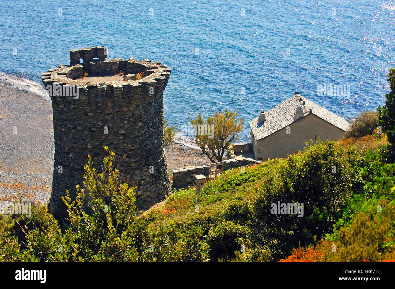 Genoese tower of Negru, France, Corsica, Cap Corse, Negru Stock Photo