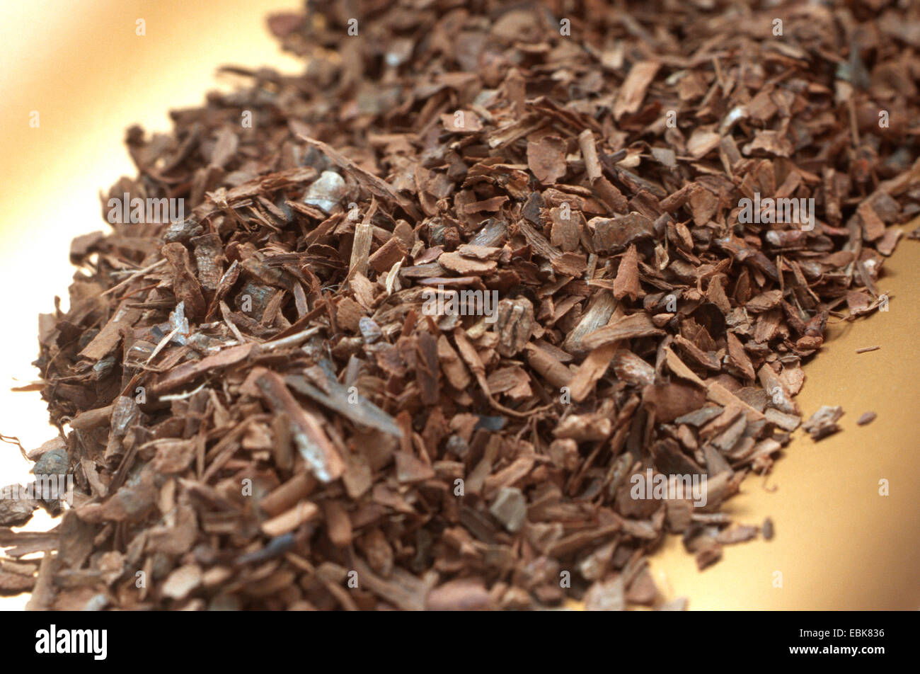 Cinnamon, medical plant, medical plants, medicinal plant, medicinal plants, herbalism, useful plant, useful plants, homeopathy, traditional medicine, folk medicine (Cinnamomum verum), cut bark Stock Photo