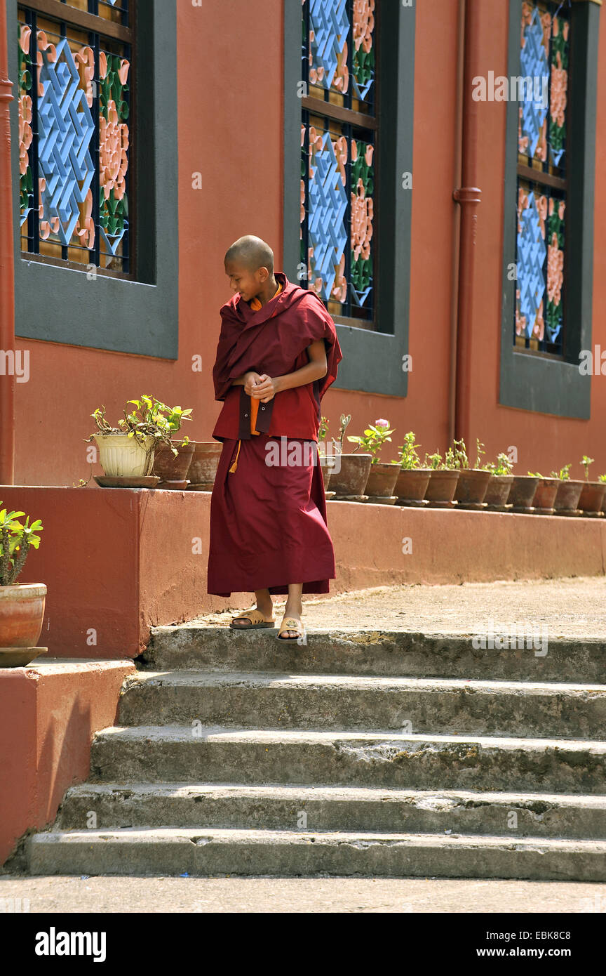 young monk on the stairs of a monastory, Nepal, Pokhara Stock Photo