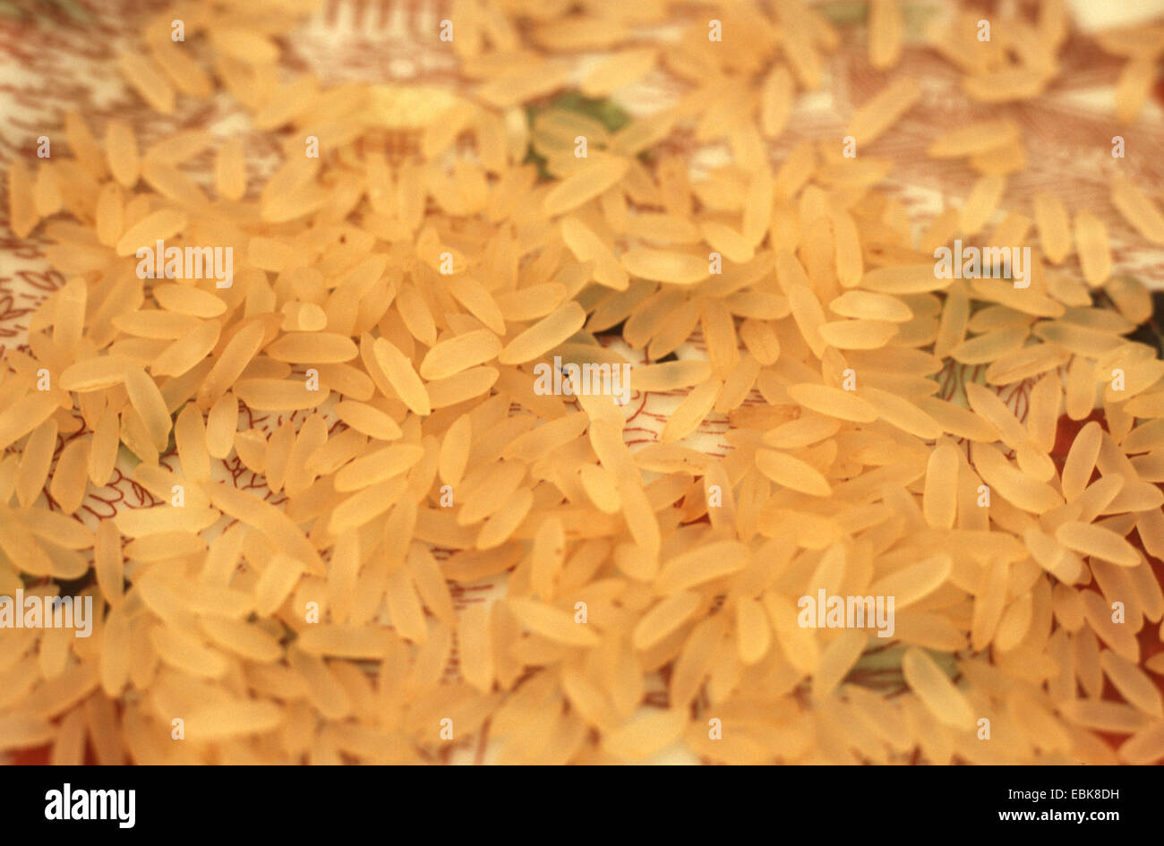 common rice (Oryza sativa), grain of rice o the desk, long grain rice Stock Photo