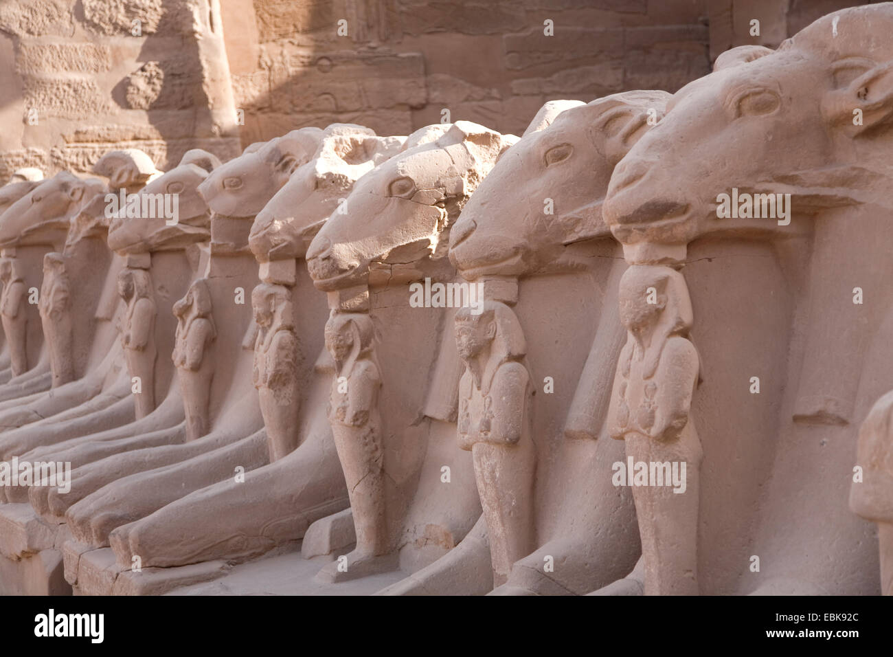 alley with sphinxes with ram heads in front of the Precinct of Amun-Re, Egypt, Karnak, Luxor Stock Photo