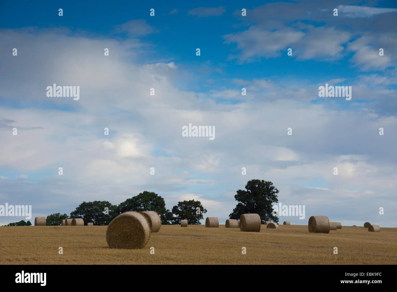 bales of straw on a stubble field, Germany, Saxony, Vogtlaendische Schweiz Stock Photo