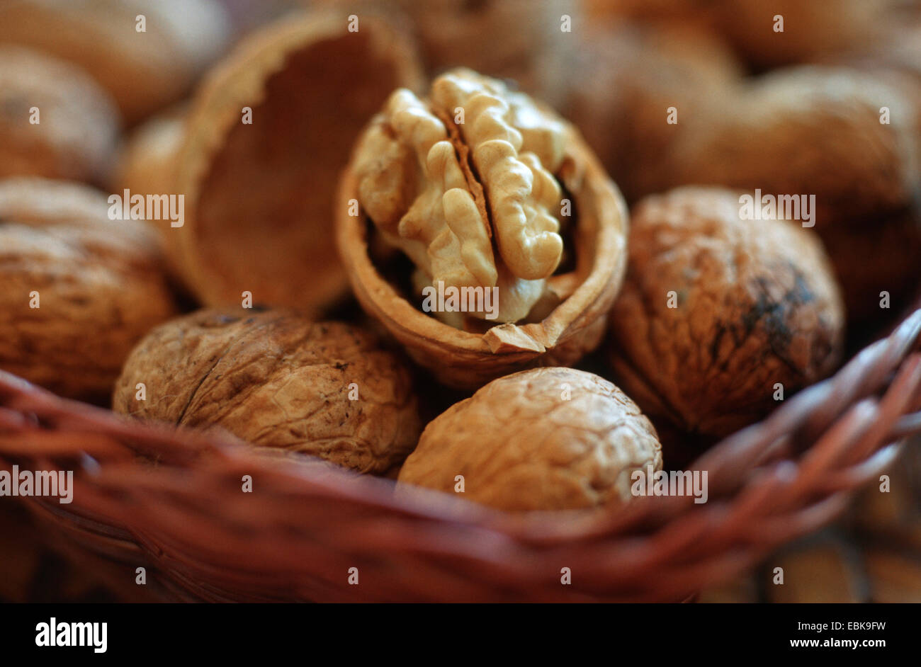 walnut (Juglans regia), walnuts in a basket Stock Photo