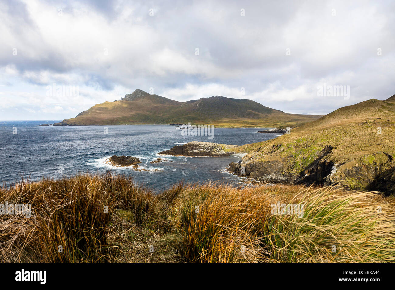 Cape Hoorn, Chile, Cape Horn Island, Cape Hoorn National Park Stock Photo -  Alamy