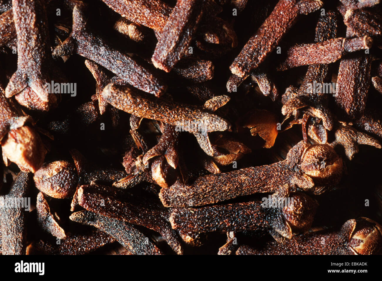 Clove (Syzygium aromaticum), dried flower buds Stock Photo Alamy