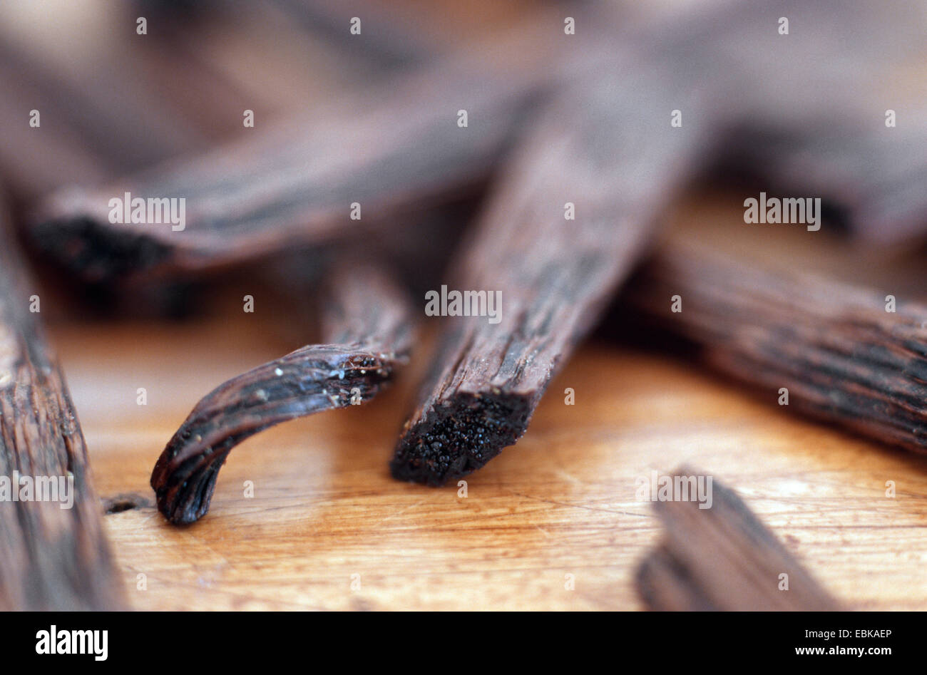 vanilla (Vanilla planifolia), dried vanilla fruits Stock Photo Alamy