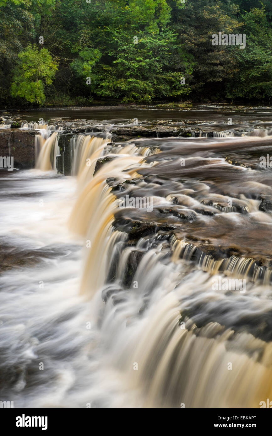 The upper falls of the River Ure at Aysgarth, Yorkshire Dales National Park, England Stock Photo
