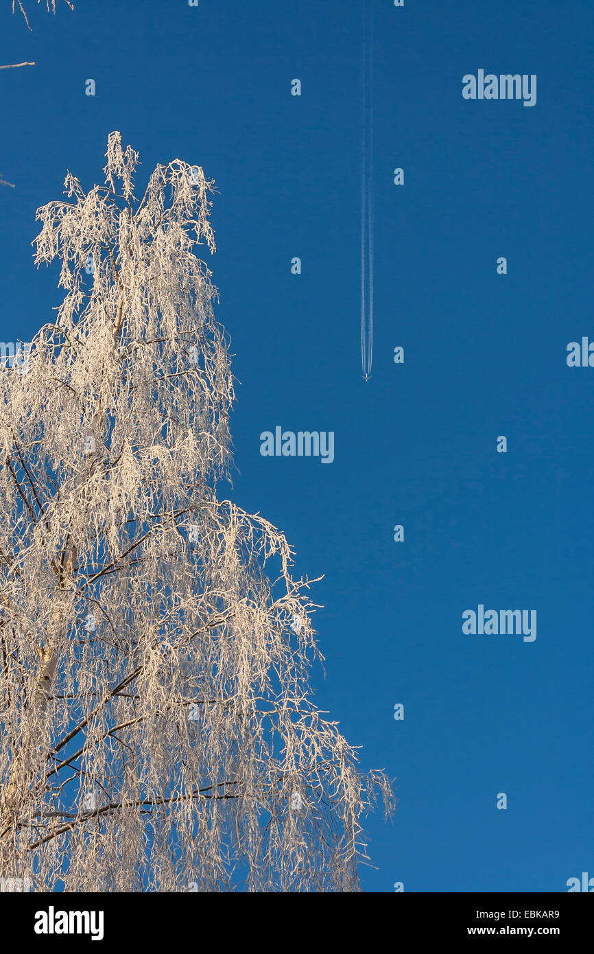Winter Landscape with Frozen Trees Stock Photo - Alamy