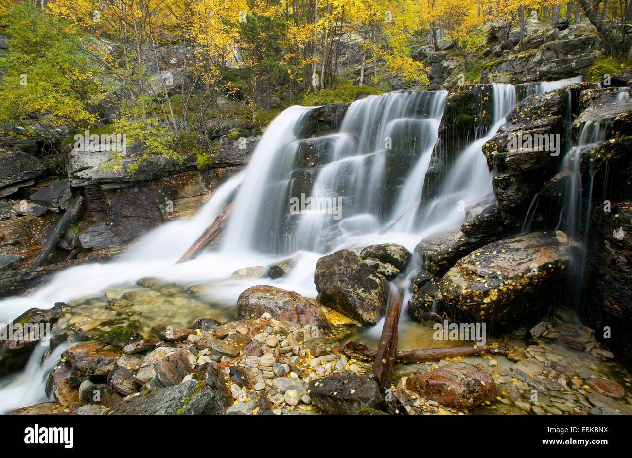 waterfall and river running through ancient boreal forest in autumn, Norway, Hedmark, Stor-Elvdal, Atndalen Stock Photo