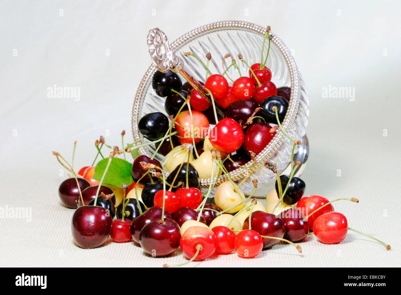 Diffrent cherry types, colorful cherry mix Stock Photo